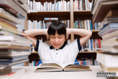 年齡偏小、零基礎的初中生，能去學IT嗎？